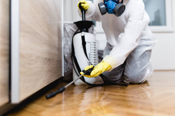 Best Residential Pest Control  in Manasquan, NJ