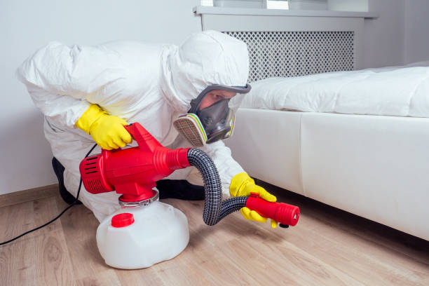 Wasp Removal Services in Manasquan, NJ