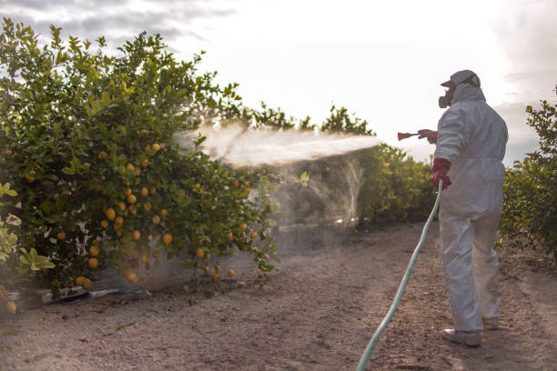 Best Affordable Pest Control Services  in Manasquan, NJ