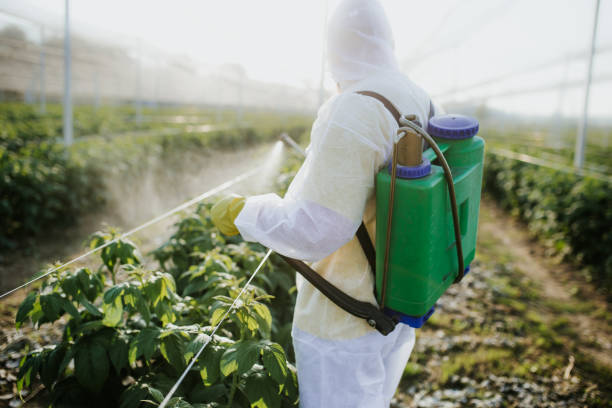 Best Best Pest Control Companies  in Manasquan, NJ